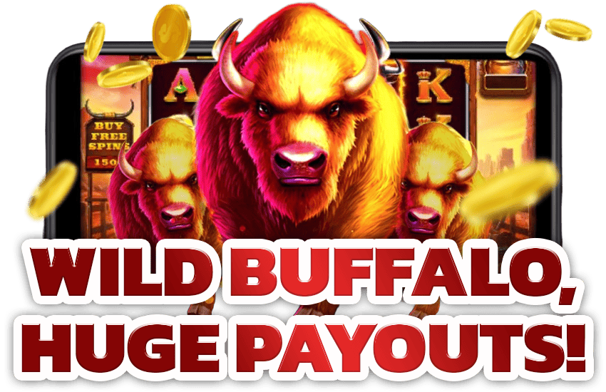 haobet77 Buffalo slot